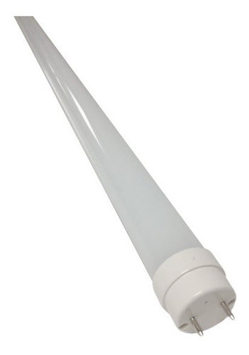 Lâmpada De Led Tubular T8 40W-6500K 2,5m Bivolt - Blumenau
