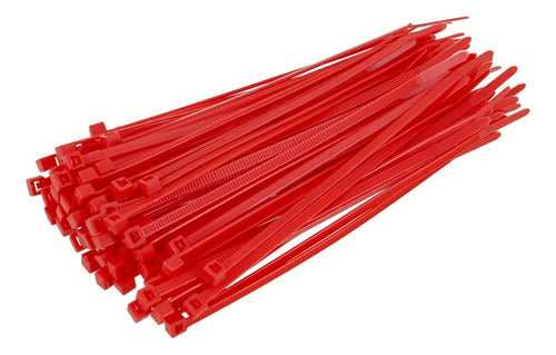 Abraçadeira De Nylon 2,5mm X 100mm Bestfer Pacote C/ 20 Unidades