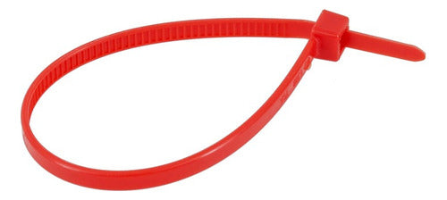 Abraçadeira De Nylon 2,5mm X 100mm Bestfer Pacote C/ 20 Unidades